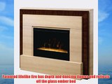 Gibraltar Electric Fireplace Insert Style: Glass Ember