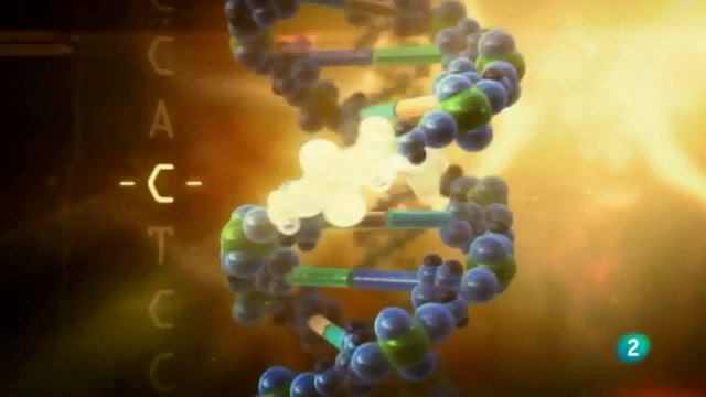 Genoma: Mutaciones geneticas