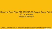 Genuine Ford Fluid PM-19K207-AA Argent Spray Paint - 13 oz. Aerosol Review