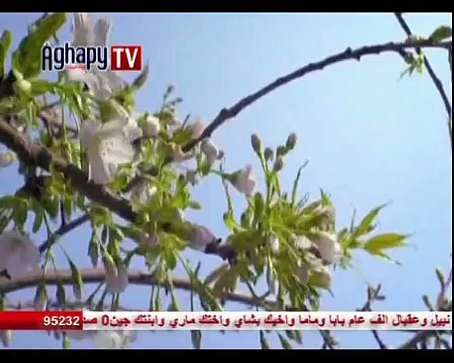 ترنيمة   فرحان بيك .. أداء برسوم القمص اسحق