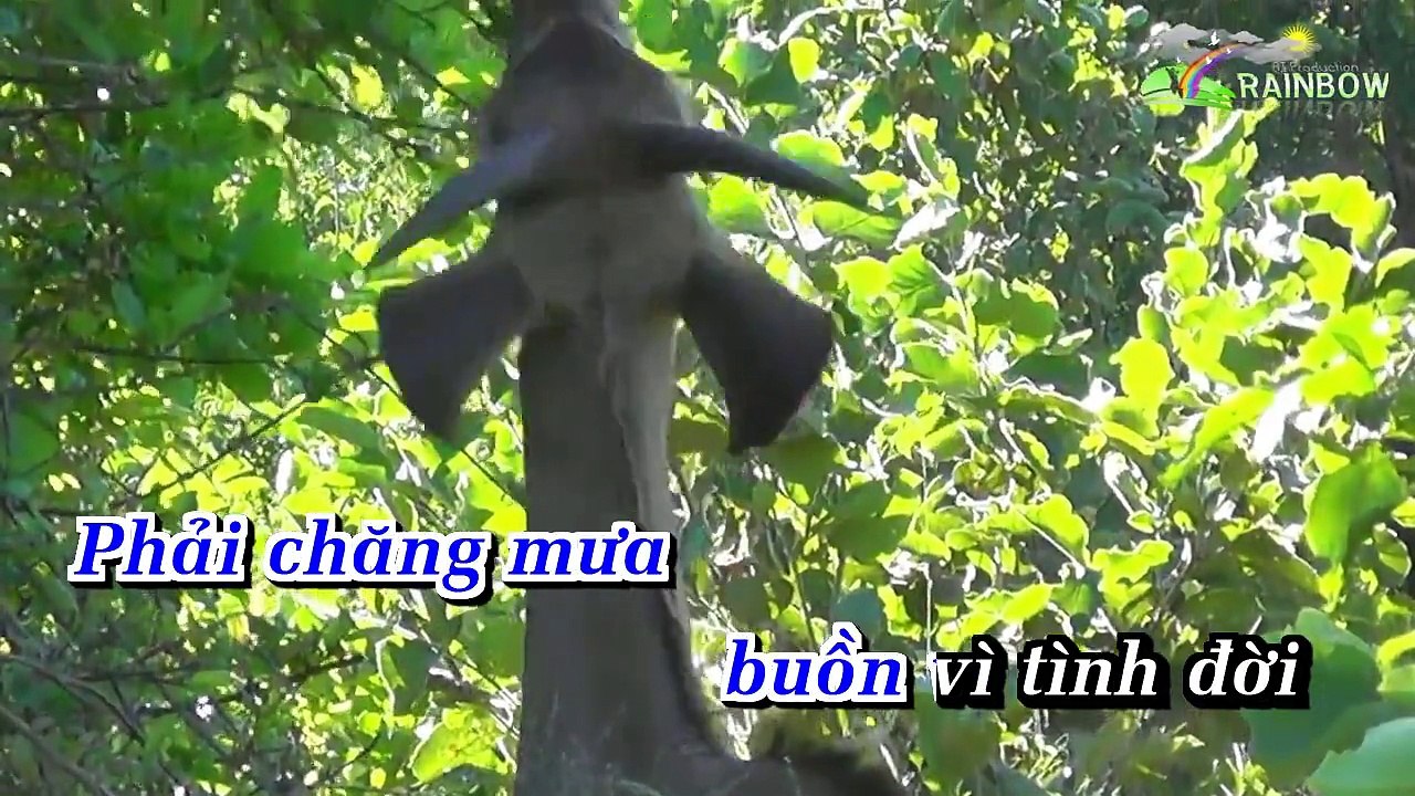 Mua Rung