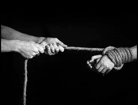 Front Line Assembly - C2/ That Night