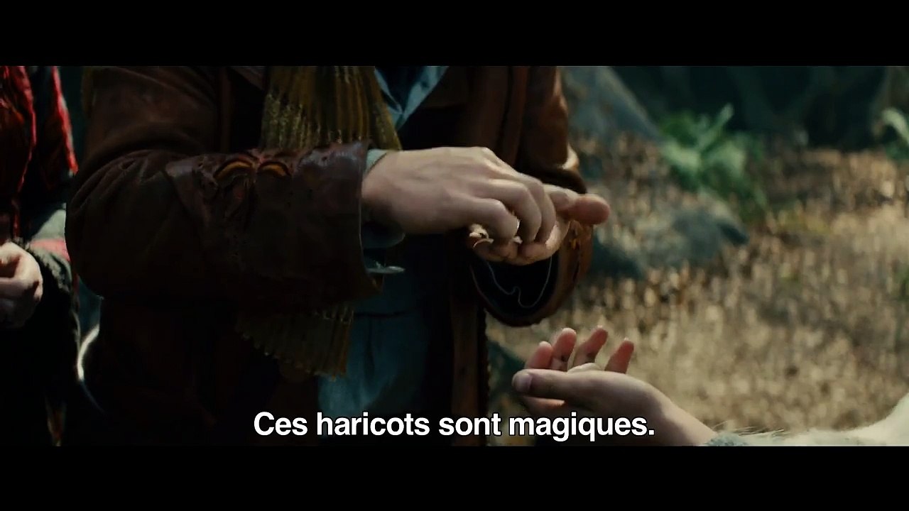 Into the woods, Promenons-nous dans les bois - Bande annonce VOST