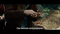 Into the woods, Promenons-nous dans les bois - Bande annonce VOST