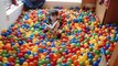 University student turns entire bedroom into ball pool