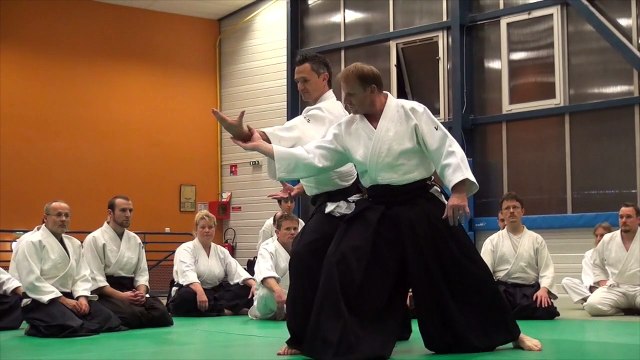 Ligue d'Aikido de Franche-Comté FFAAA Rencontre interclubs à Valdoie du 13.11.2014