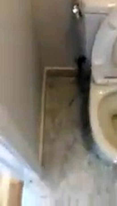 TONY BRETTKELLY Affordable Housing Available near Nob hill near san francisco