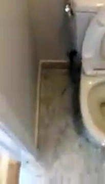 TONY BRETTKELLY Affordable Housing Available near Nob hill near san francisco