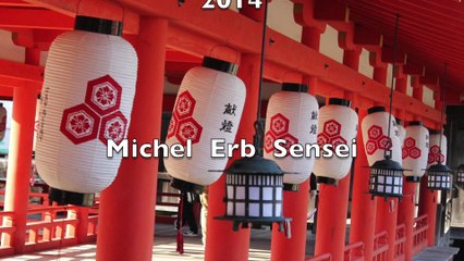 Best of 2014 Michel Erb Sensei Part 2