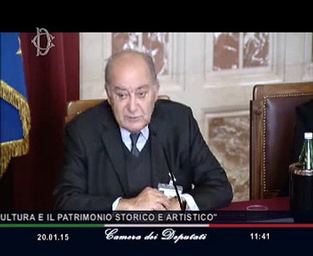 Roma - Cittadinanza attiva, cultura e patrimonio storico e artistico (20.01.15)