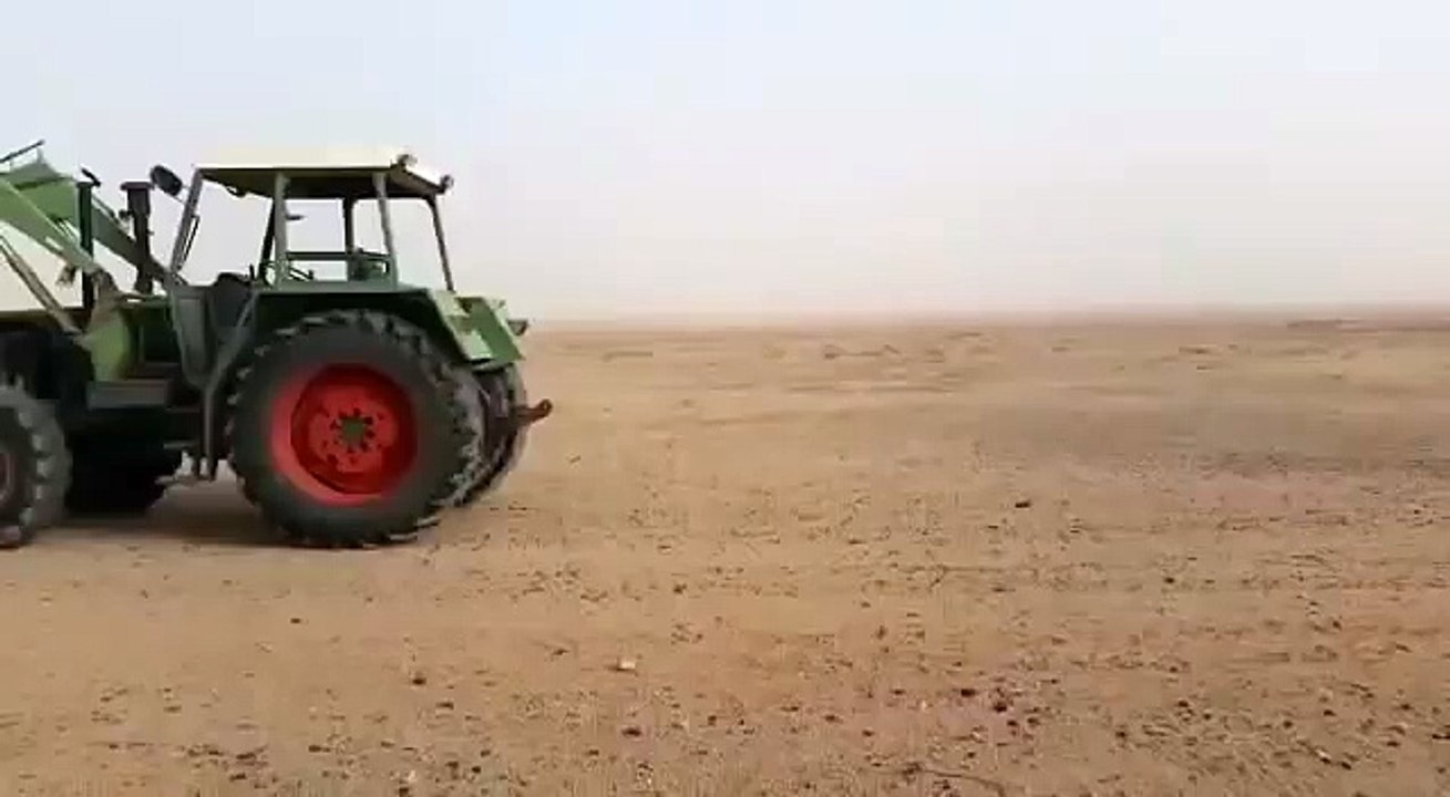 Meanwhile_in_Saudi_Arabia_s_Deserts