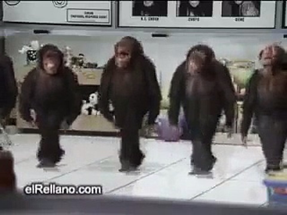 Monkey River Dance