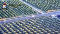 Cosenza - Imprenditore agricolo truffa Inps per oltre 1 milione di euro (21.01.15)