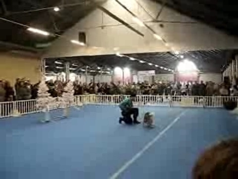 Expo canine valence 4mars