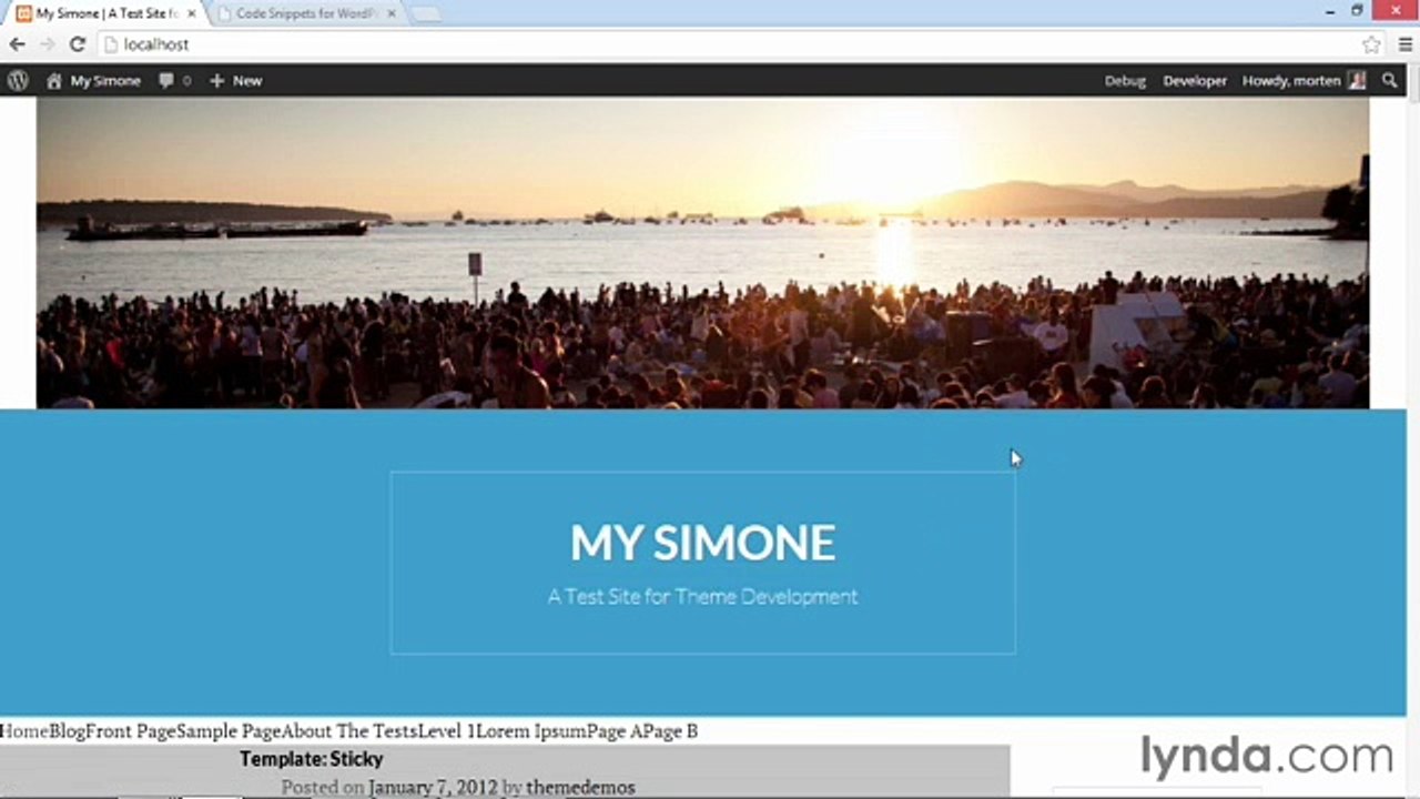 Building Theme from Scratch with underscore lecture 25 image behind