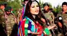 shama ashna bountiful pashto  song