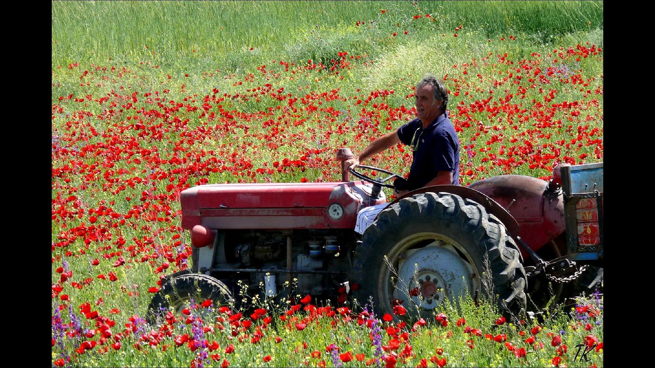 De GÖREME à TARADUK