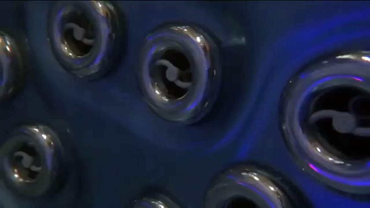 Spa français : Aqua Relax