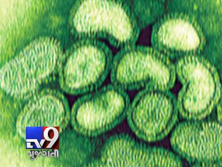 Скачать видео: What is swine flu and what are the symptoms ? - Tv9 Gujarati