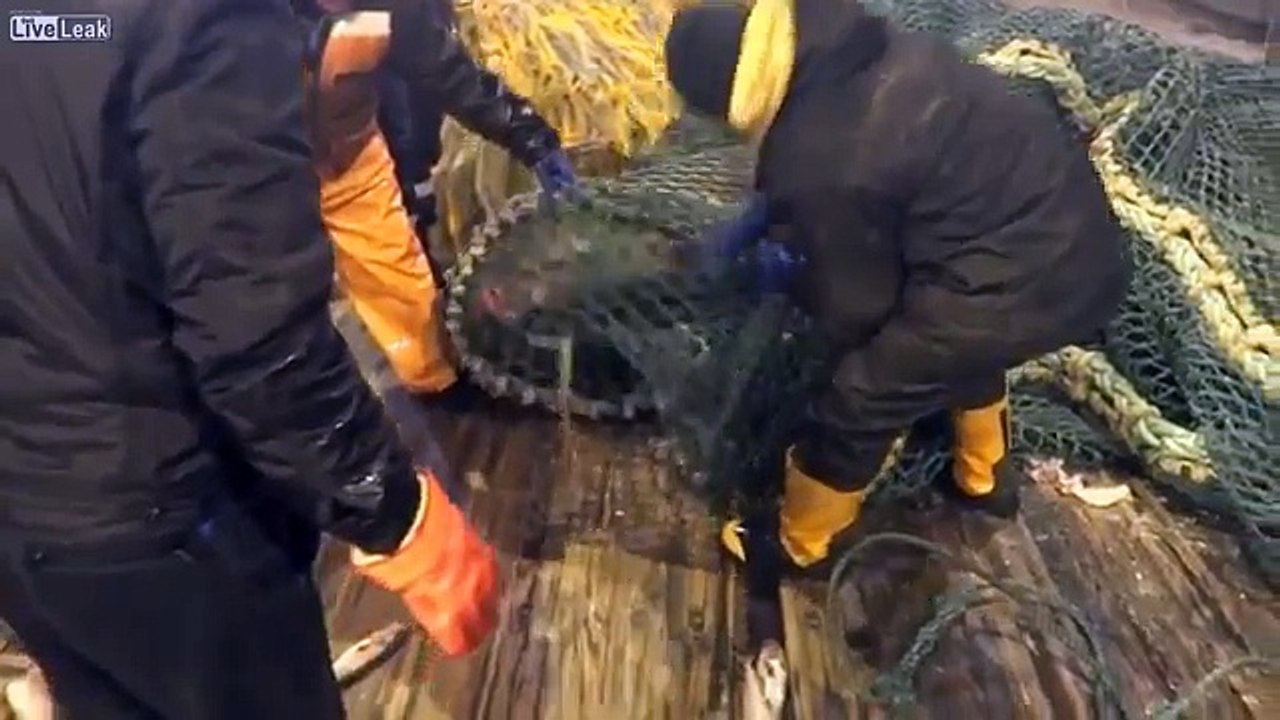 Des pêcheurs attrapent quelque chose d'inhabituel qui sème la terreur sur le bateau