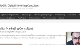 Digital Marketing Consultant//SEO