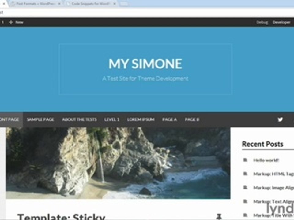 Building Theme from Scratch with underscore lecture 67 post formats