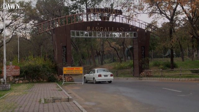 Distress calls- Wildlife at Margalla Hills National Park