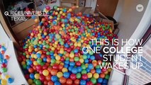 College Student Turns His Entire Dorm Room Into A Ball Pit