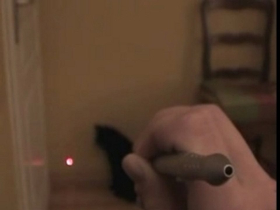 GAG -- Chat chassant un laser!!! -- DROL