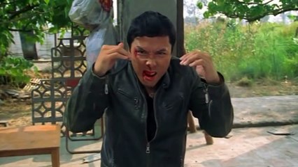 Donnie Yen - 2015 Kung Fu Compilation