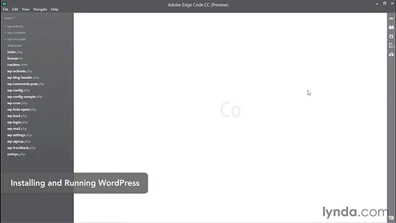 Creating a Popular Posts Plugin with word press lecture 3 plugin