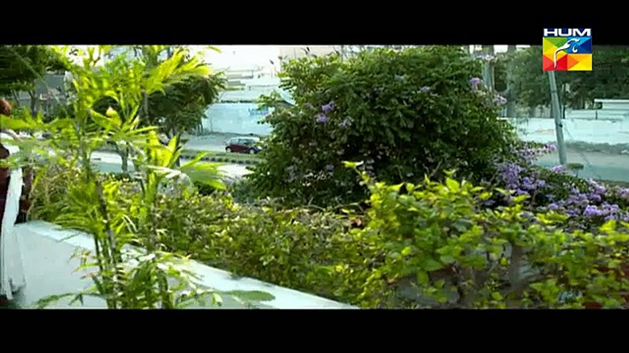 Darbadar Teray Liye Episode 17 Full High Quality HUM TV 21 January 2015