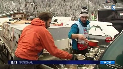 L'alaskan, nouvelle star des courses de chien de traîneau
