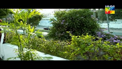 Darbadar Teray Liye Episode 17- HD Quality 21st January 2015