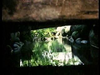 NHKドキュメンタリー：イタイイタイ病