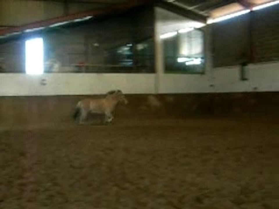 vraiment pas motivé