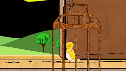 Campanha educativa de defesa dos animais - Tráfico