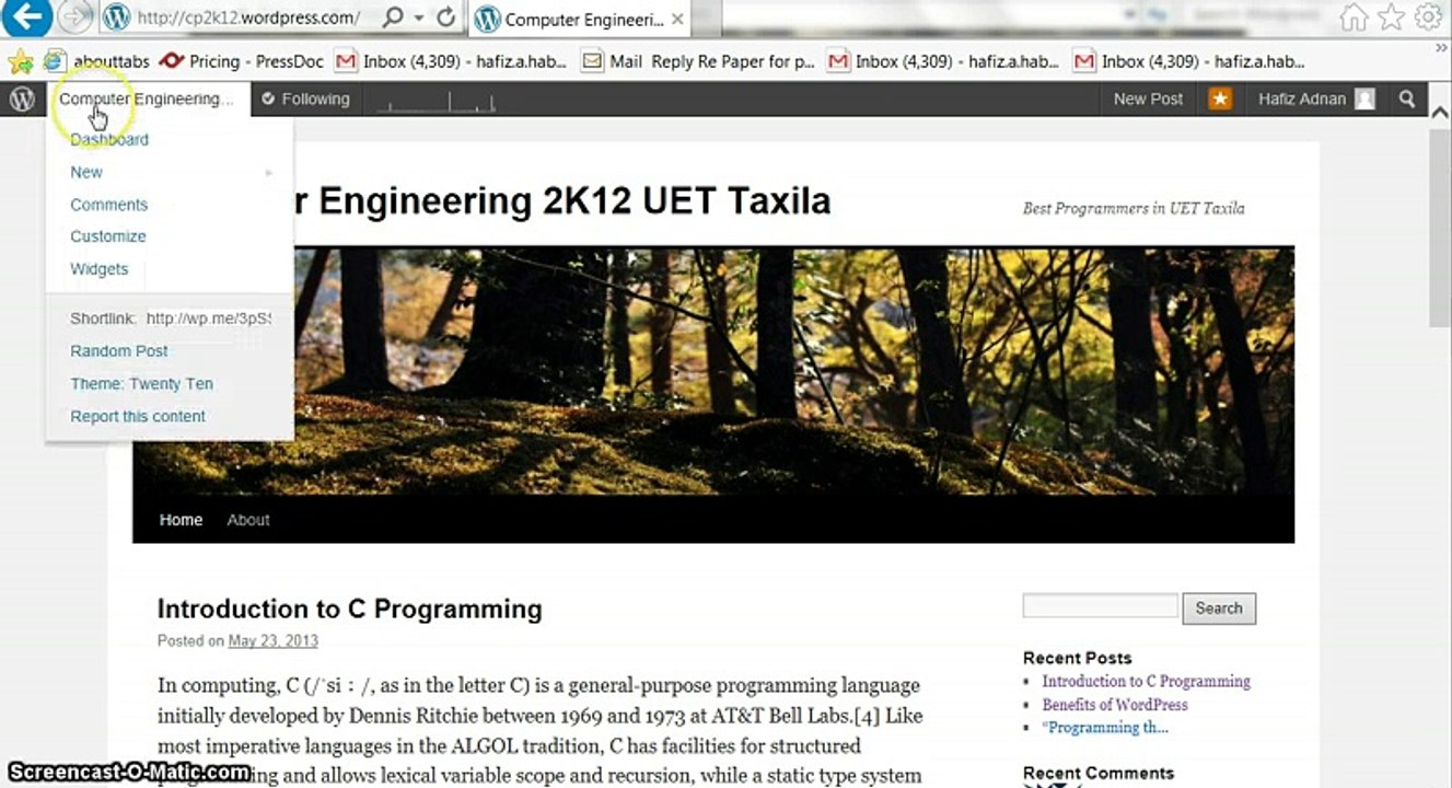 Managing Comments on wordpress