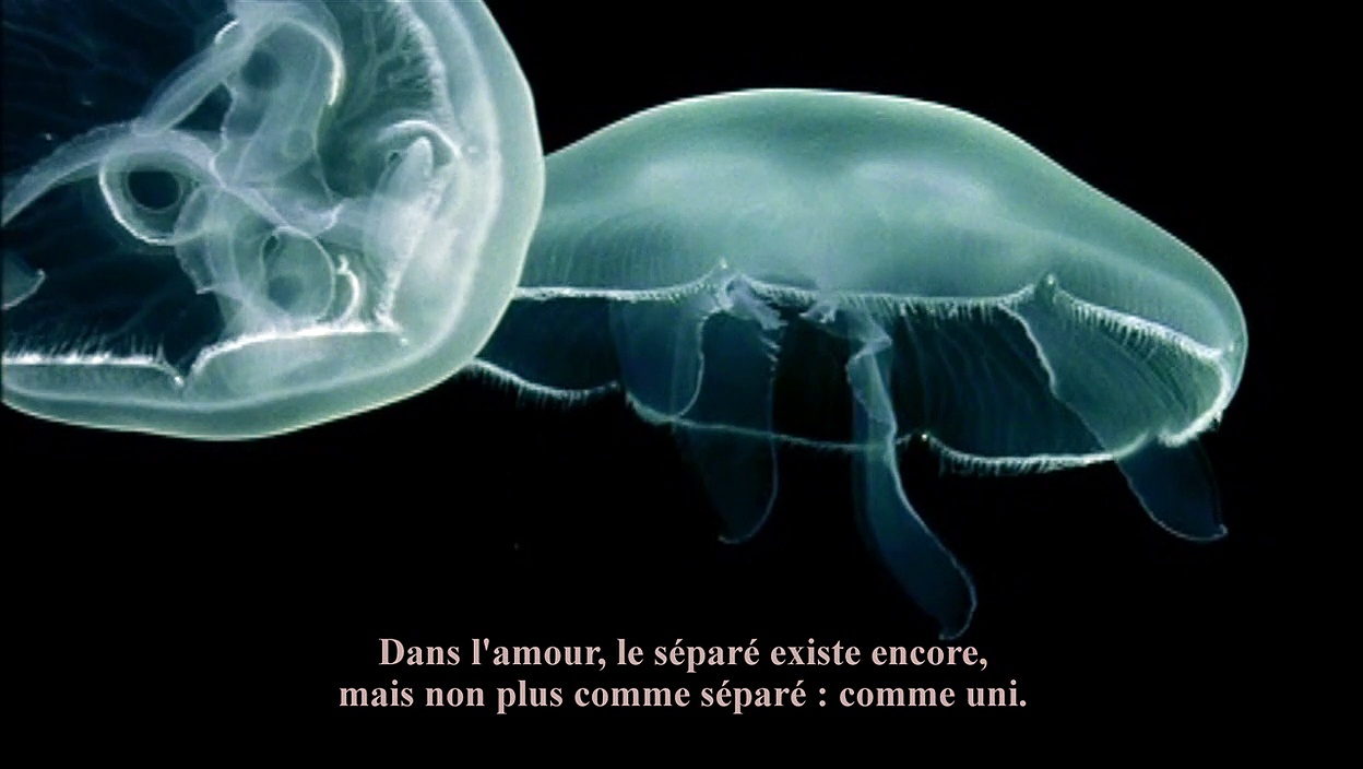 Solidarité & Progrès (2015)