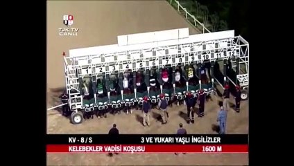 BEN ETKİLENMEM DİYEN YALAN SÖYLER SEĞRET VE ONDAN SONRA KARAR VER
