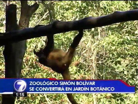 Zoológico Simón Bolívar no mantendrá más animales en cautiverio