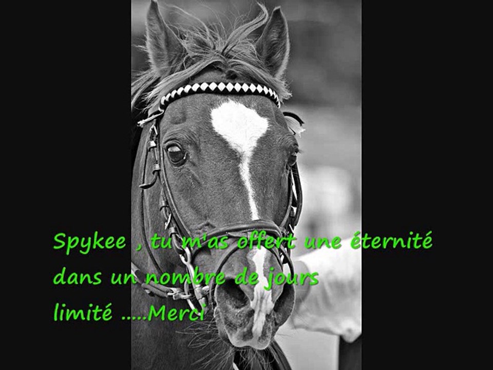 resultats verdelhan colin et spy