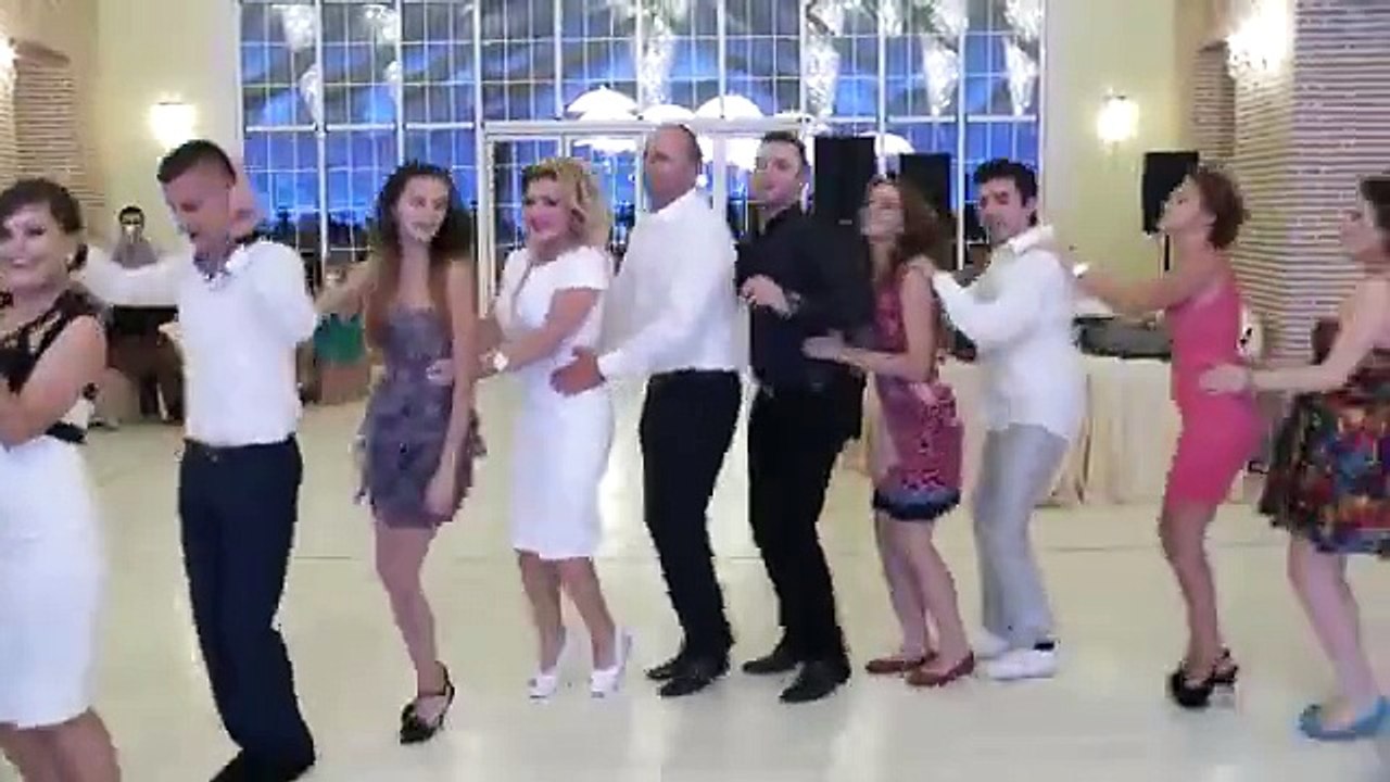 This Penguin Dance Lets Everybody Celebrate!