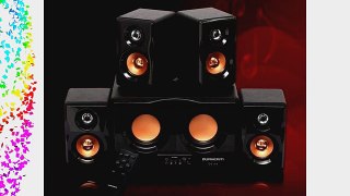 DURHERM DS-R4 4.2 DUAL Woofer Piano Finish Home Theater PC Desktop Laptop Speaker Audio System