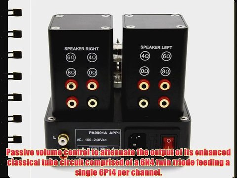 APPJ PA0901A 6N4 6P14 Mini tube Amplifier Silver