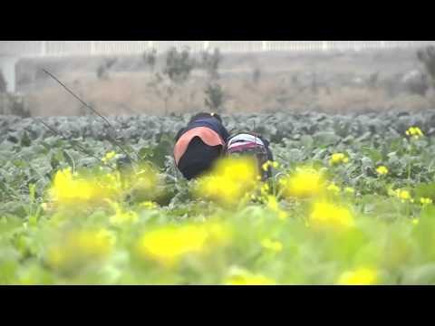 《一年级》未播花絮 Grade One Unreleased Footage 12/12: 西蒙子耍小聪明 逆袭陈思成得第一-Jozef Won The Game【湖南卫视官方版】