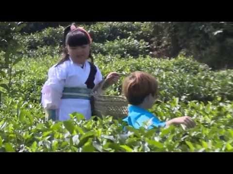 《一年级》未播花絮 Grade One Unreleased Footage 11/28: 陆煜琳西蒙子互相嫌弃-Lu Yu Lin Jozef Dislike Each Other【湖南卫视官方版】