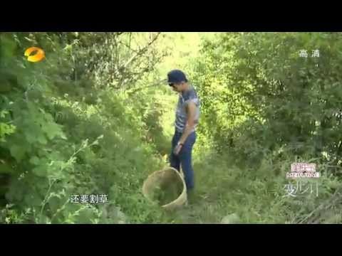 《变形计》看点 X-change 11/24 Recap: 林少割草爆粗摔桌倒椅-Lin Xiao Act Violently【湖南卫视官方版】