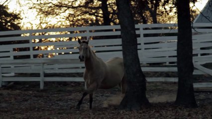 Freedom Reigns Counseling