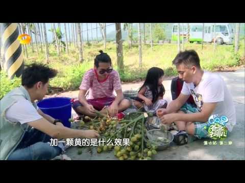 《爸爸去哪儿》第二季看点 Dad Where Are We Going S02 09/19 Recap:小志为卖槟郎怂恿姐姐当“槟榔西施”-Jimmy Persuades Grace【湖南卫视官方版】